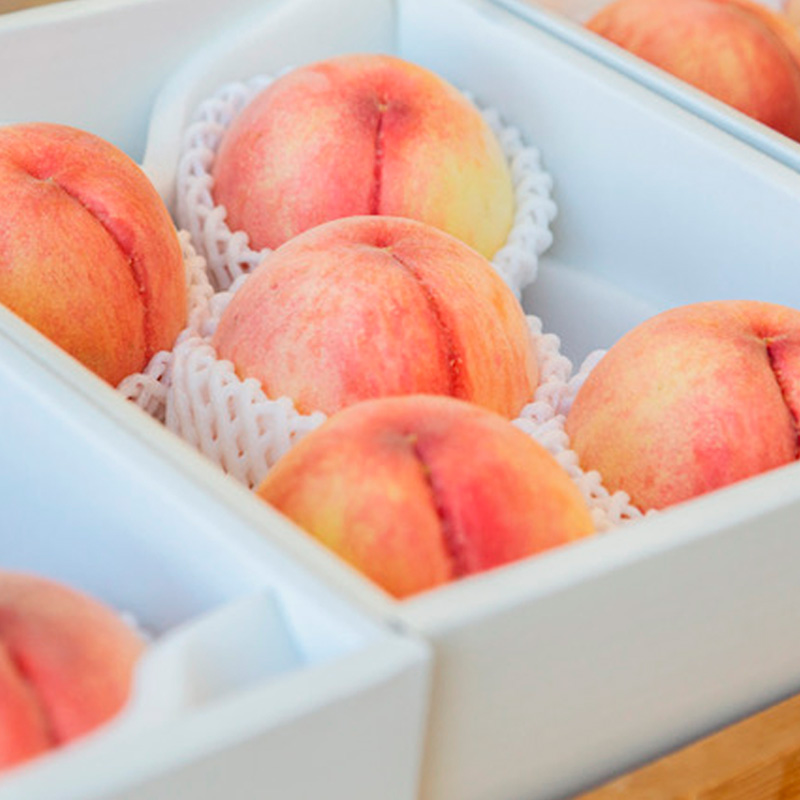 【定期便3回】桃！桃！桃！桃好きな方への食べ比べ定期便【令和8年産先行予約】 FS24-017