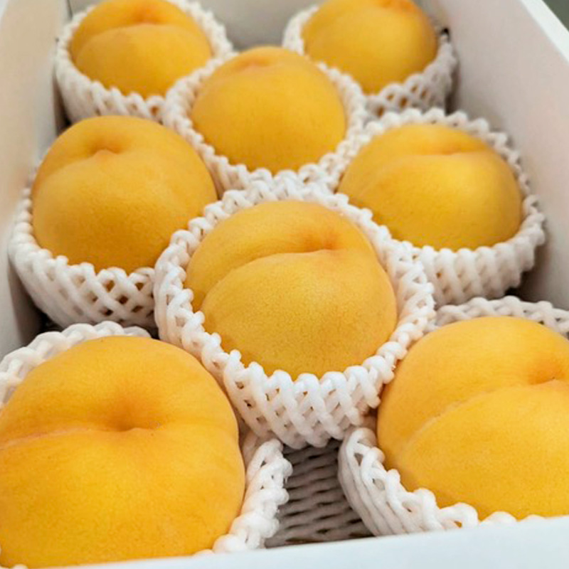 【定期便3回】桃！桃！桃！桃好きな方への食べ比べ定期便【令和8年産先行予約】 FS24-017