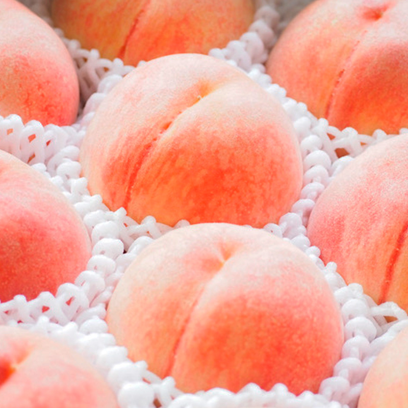 【定期便3回】桃！桃！桃！桃好きな方への食べ比べ定期便【令和8年産先行予約】 FS24-017