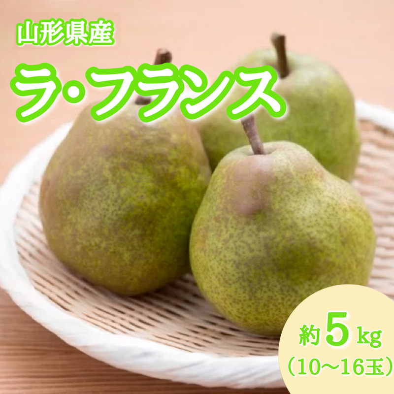 山形産 ラ・フランス 秀品 約5kg(10～16玉) FZ23-416