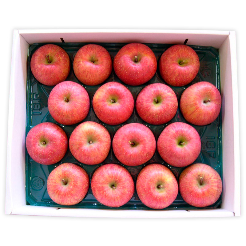 自然の恵みいっぱいの葉とらずふじりんご 約10kg(46個) FY25-922