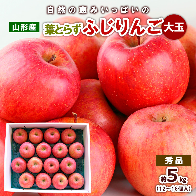 自然の恵みいっぱいの葉とらずふじりんご 大玉 約5kg FY25-924