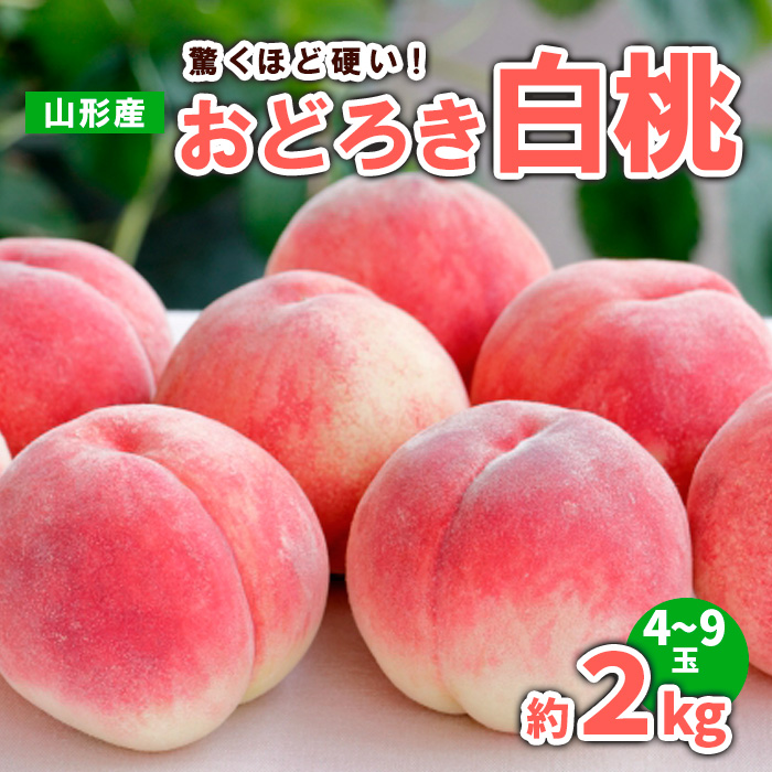 山形産 おどろき 白桃  秀 約2kg(4～9玉)【令和8年産先行予約】FS23-780