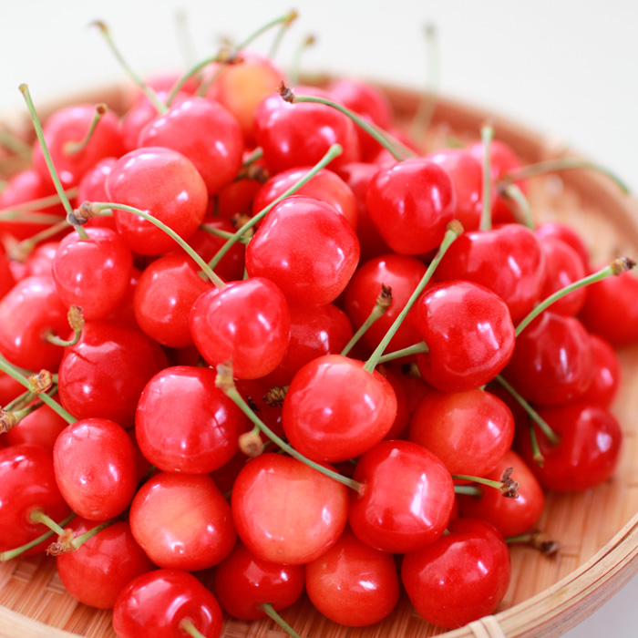 【定期便3回】山形の果物トップ３ 【令和8年産先行予約】FS25-610