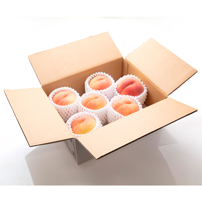 【定期便3回】山形の果物トップ３ 【令和8年産先行予約】FS25-610