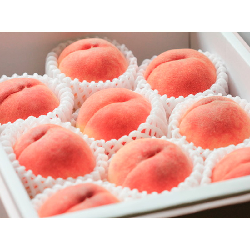 山形自慢の白桃 秀品 3kg (柔らかくなる桃) 【令和8年産先行予約】 FS24-008