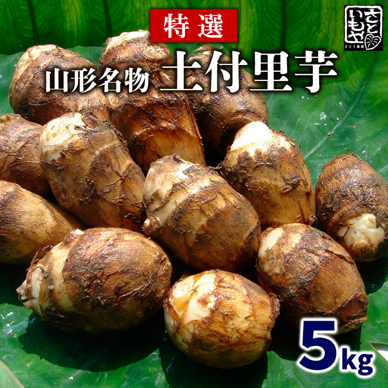 [特選]山形名物 土付里芋 5kg FZ23-137