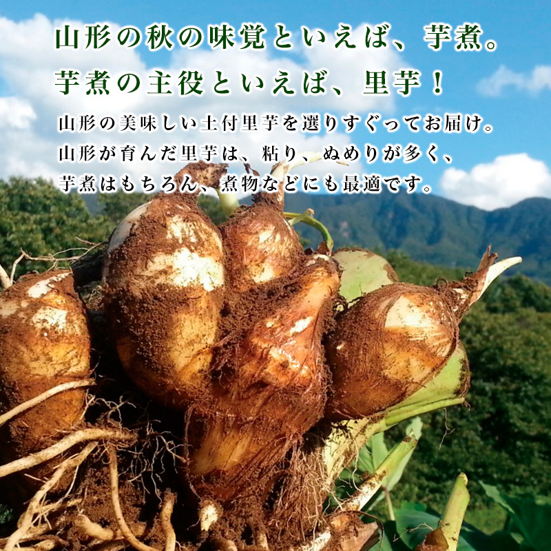 [特選]山形名物 土付里芋 5kg FZ23-137