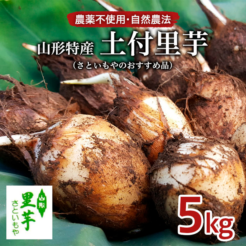 農薬不使用 自然農法 山形特産 土付里芋 5kg!(さといもやのおすすめ品) FZ23-135