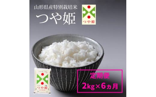 【定期便6回】山形産 特別栽培米 つや姫 2kg×6ヶ月(計12kg)  FY24-304