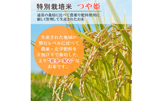 【定期便6回】山形産 特別栽培米 つや姫 2kg×6ヶ月(計12kg)  FY24-304