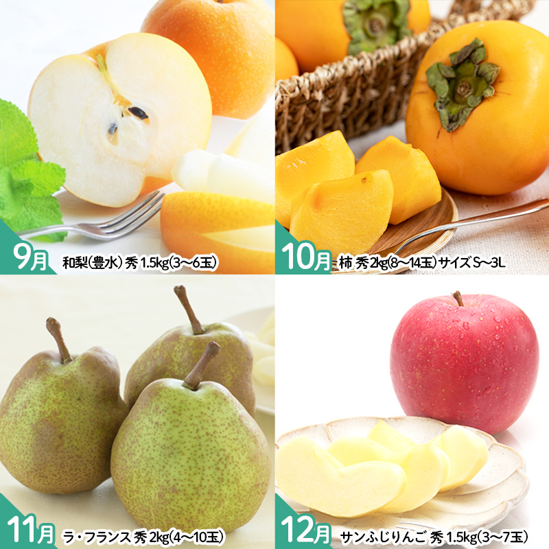 【定期便12回】山形のおいしいものを贅沢に！1年定期便 ｜ 産地直送 旬 FZ25-826