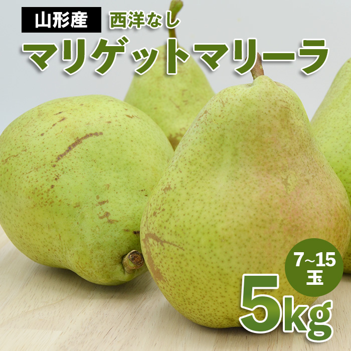 山形市産 西洋なし(マリゲットマリーラ) 秀 5kg(7玉～15玉)【令和8年産先行予約】FS23-729