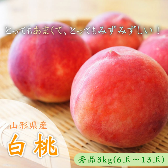 山形市産 白桃 秀品 約3kg(6玉～13玉)※品種おまかせ「硬い桃」【令和8年産先行予約】FS23-731