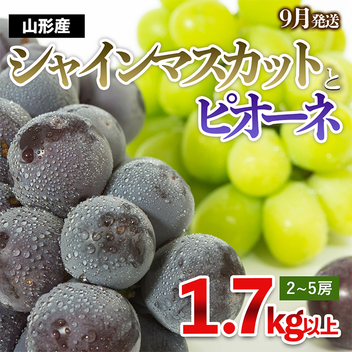 やまがたのぶどう シャインマスカット＆ピオーネ 秀品 約1.7kg(2～5房程度) [9月発送] 【令和7年産先行予約】FS23-752