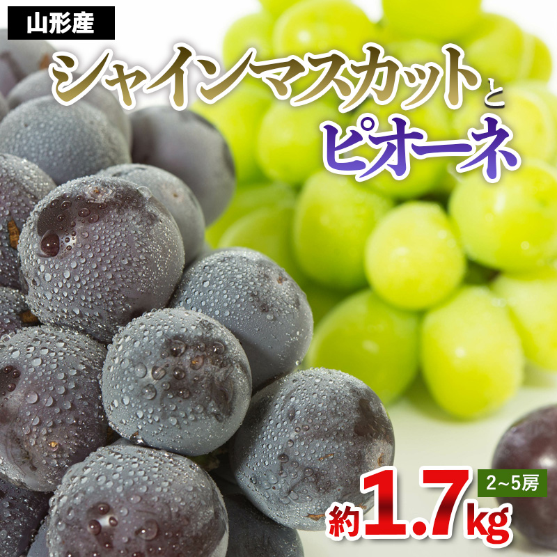 やまがたのぶどう シャインマスカット＆ピオーネ 秀品 約1.7kg(2～5房程度)【令和8年産先行予約】FS23-752
