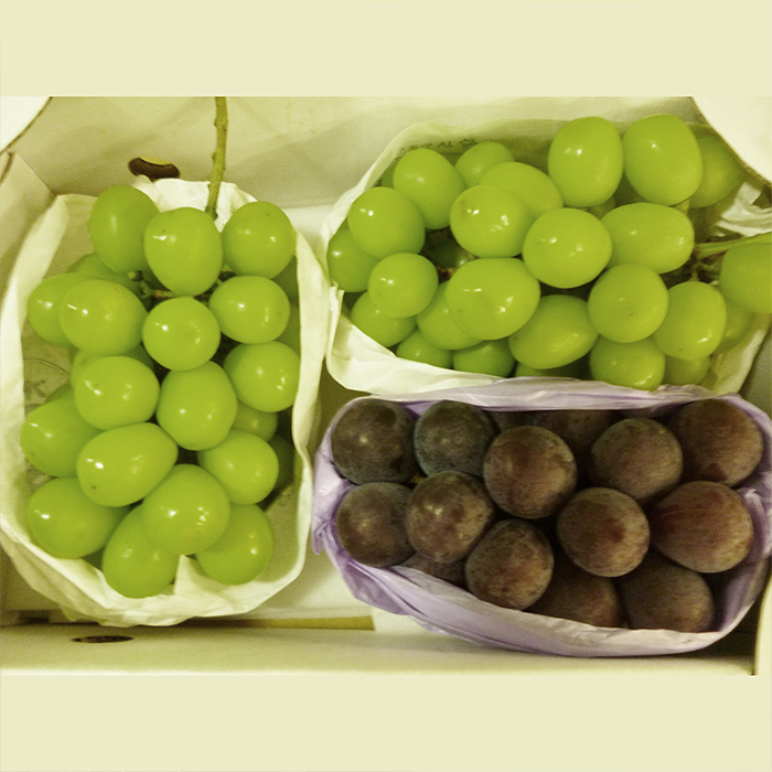 やまがたのぶどう シャインマスカット＆ピオーネ 秀品 約1.7kg(2～5房程度)【令和8年産先行予約】FS23-752