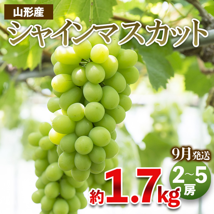 やまがたのぶどう シャインマスカット 秀品 約1.7kg(2～5房程度) [9月発送]　 【令和8年産先行予約】FS23-754
