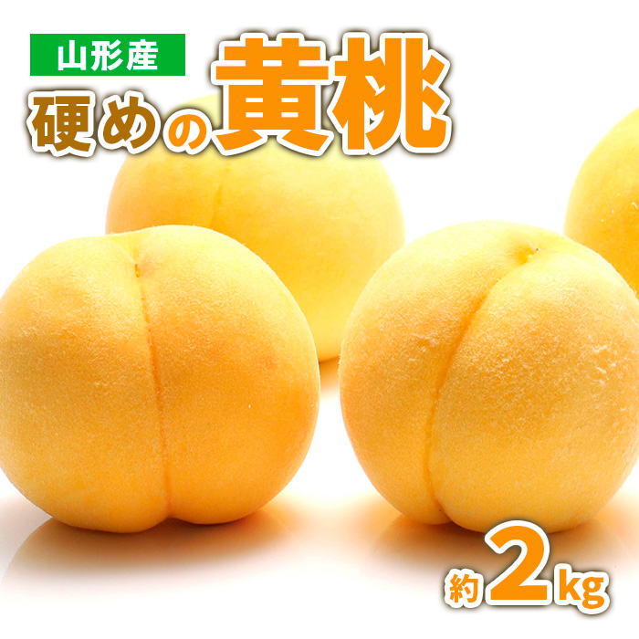 山形産 硬めの黄桃　約２kg（4～9玉)秀品 【令和8年産先行予約】FS23-778