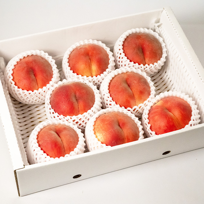 [ご家庭用]やまがたの桃 (白桃) 品種お任せ「柔らかくなる桃」9月 優品 約3kg(6～12玉程度) 【令和8年産先行予約】FS23-812