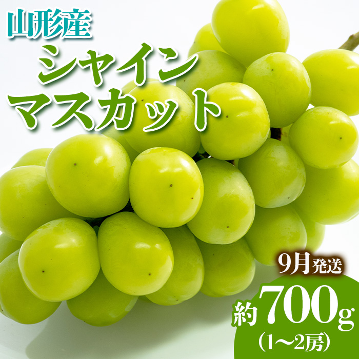 やまがたのぶどう シャインマスカット 9月 秀品 約700g(1～2房程度) 【令和7年産先行予約】FS23-816