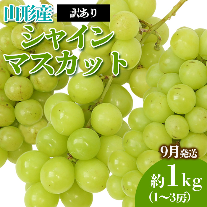 [訳あり]やまがたのぶどう シャインマスカット 9月 優品 約1kg(1～3房程度) 【令和7年産先行予約】FS23-818