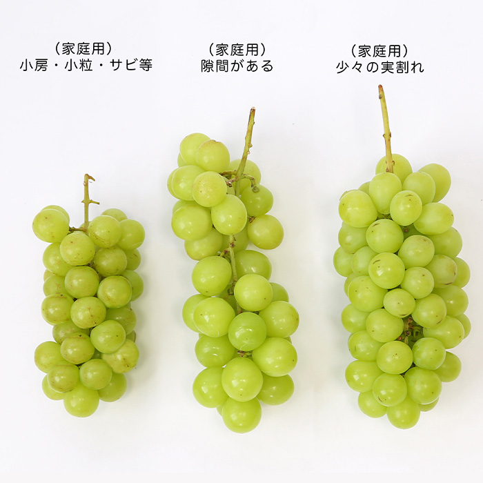 [訳あり]やまがたのぶどう シャインマスカット 9月 優品 約1kg(1～3房程度) 【令和8年産先行予約】FS23-818