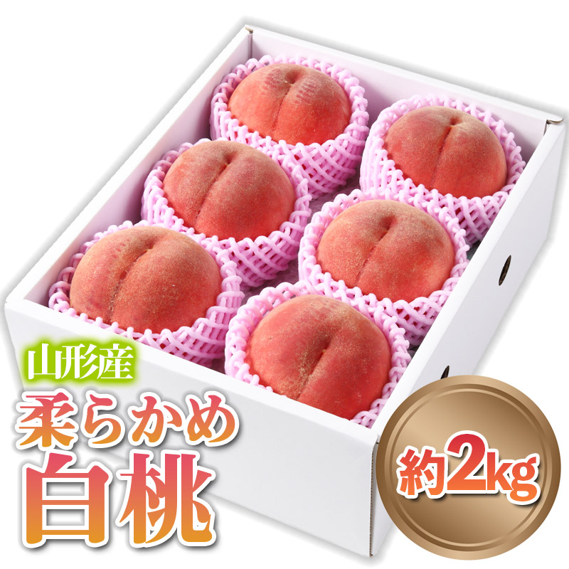 山形産 柔らかめ 「白桃」 秀品 約2kg (5玉～8玉)【令和8年産先行予約】FS24-081