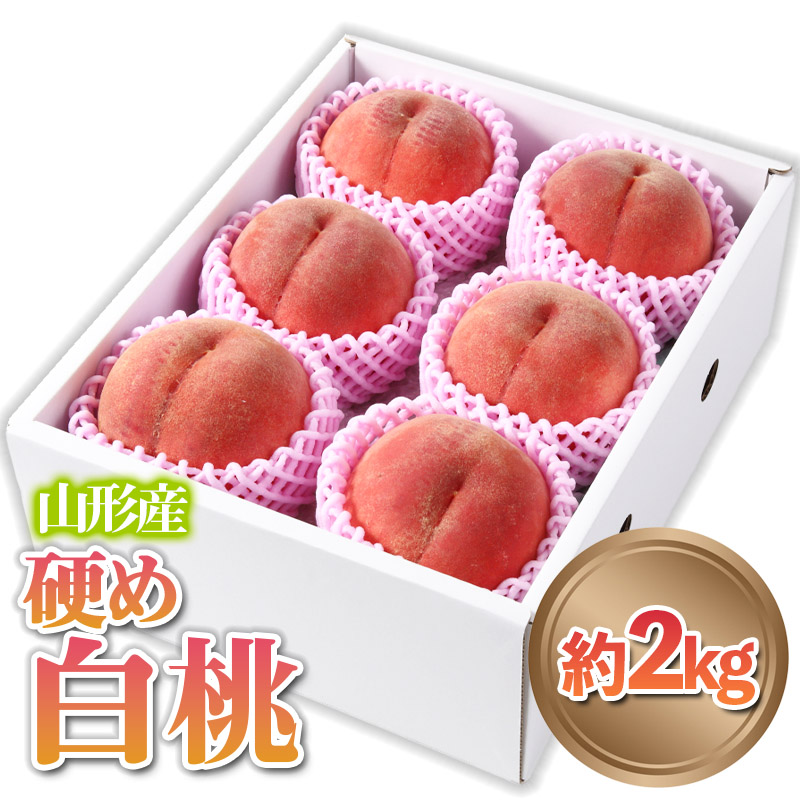 山形産 硬め 「白桃」 秀品 約2kg (5玉～8玉)【令和8年産先行予約】 FS24-083