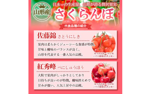 ☆フルーツ王国山形☆さくらんぼ 佐藤錦 Lサイズ 400g(200g×2パック) 【令和7年産先行予約】FS24-775