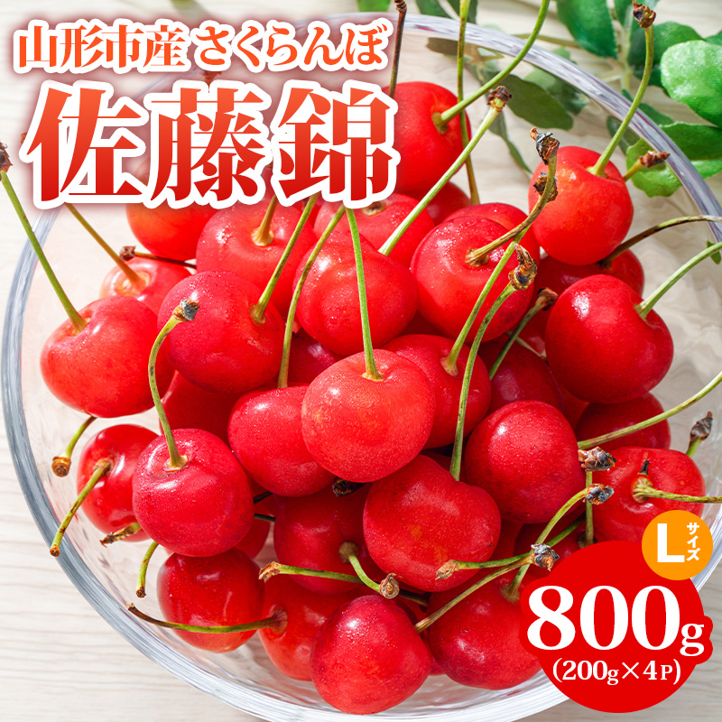 山形市産 さくらんぼ【佐藤錦】Lサイズ 800g(200g×4P) 【令和8年産先行予約】FS24-754