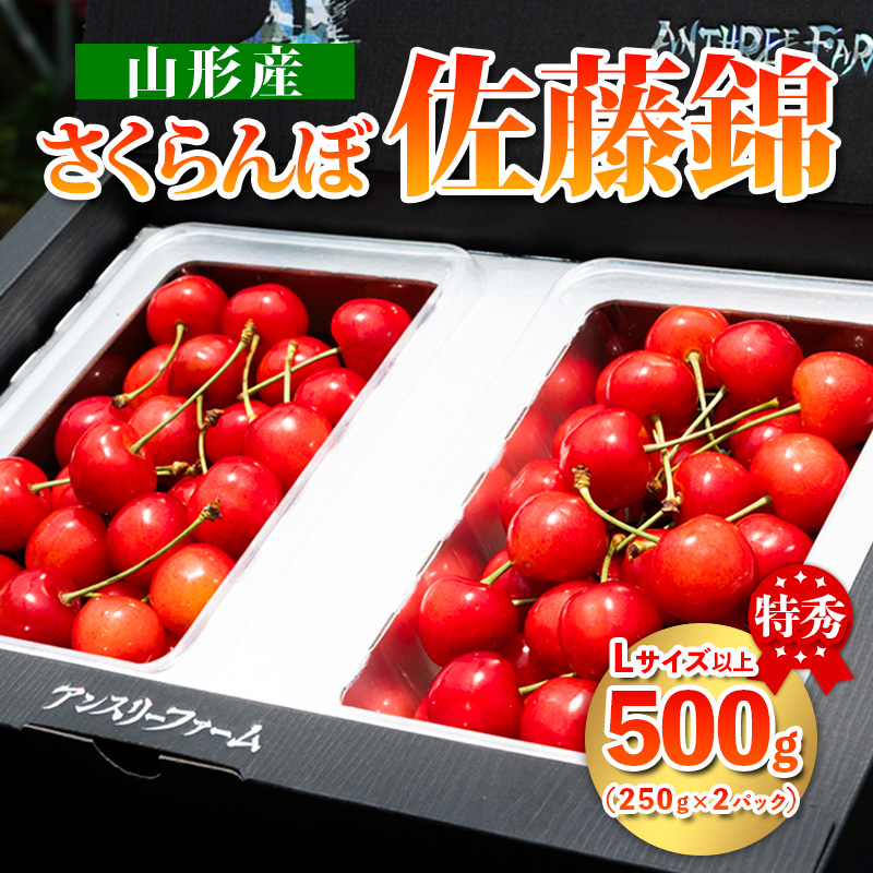  山形県産 さくらんぼ「佐藤錦」500g 特秀品 Lサイズ以上 【令和7年産先行予約】FS24-805