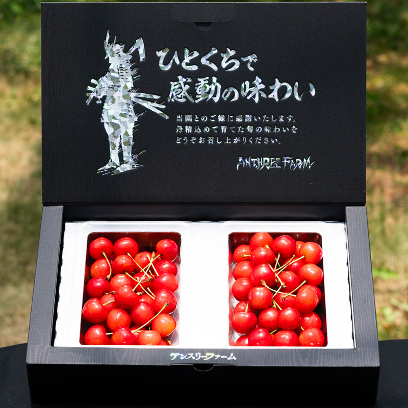  山形県産 さくらんぼ「佐藤錦」500g 特秀品 Lサイズ以上 【令和7年産先行予約】FS24-805