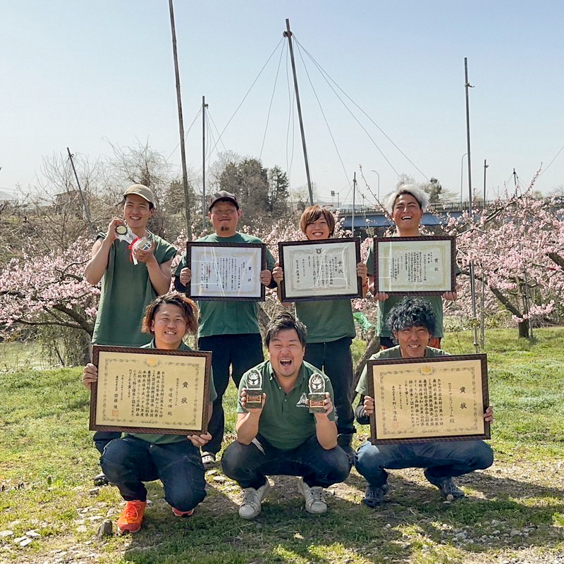  山形県産 さくらんぼ「佐藤錦」500g 特秀品 Lサイズ以上 【令和7年産先行予約】FS24-805