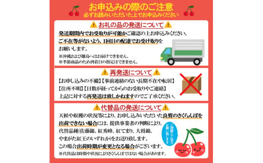  山形県産 さくらんぼ「佐藤錦」500g 特秀品 Lサイズ以上 【令和7年産先行予約】FS24-805