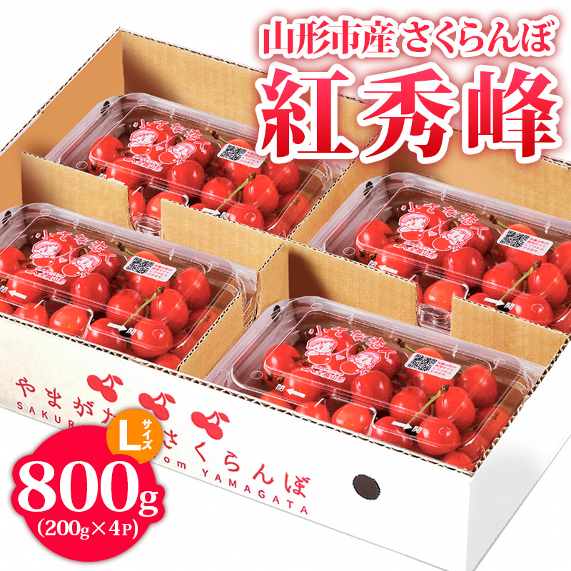 山形市産 さくらんぼ【紅秀峰】 Lサイズ 800g(200g×4P) 【令和8年産先行予約】FS24-755