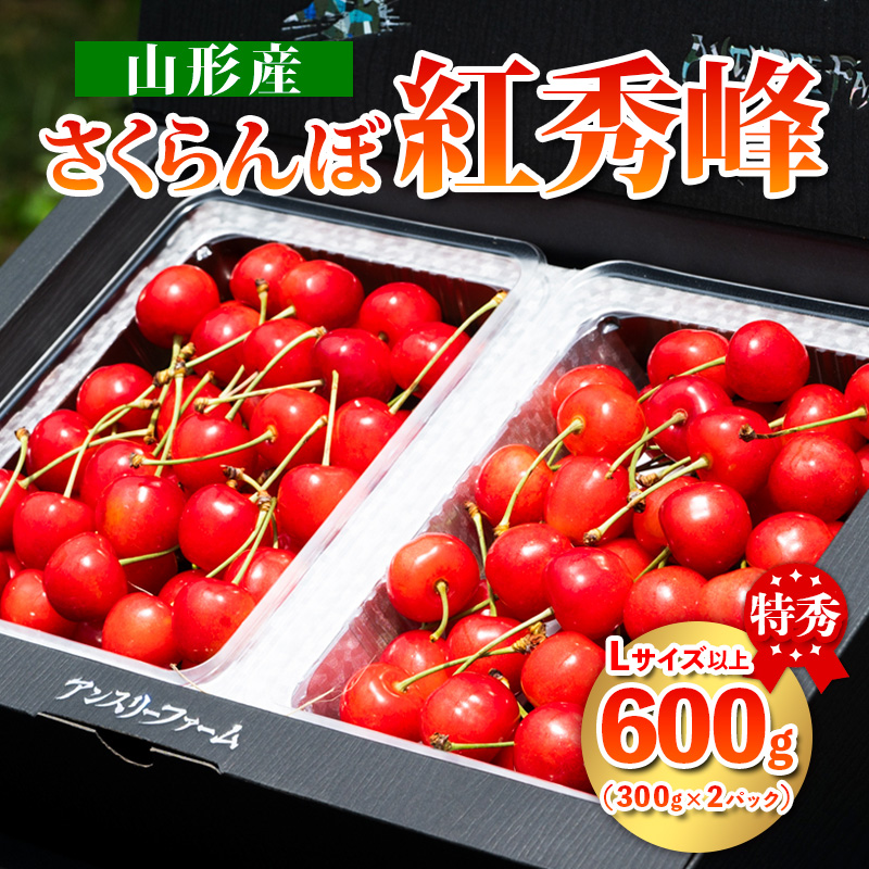 2025年産 さくらんぼ 「紅秀峰」 600g 特秀品 Lサイズ以上 山形産 【令和7年産先行予約】FS24-745