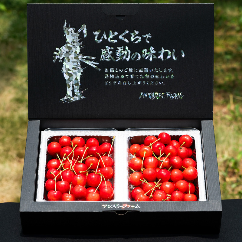 2025年産 さくらんぼ 「紅秀峰」 600g 特秀品 Lサイズ以上 山形産 【令和7年産先行予約】FS24-745