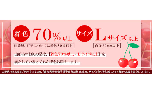 ☆フルーツ王国山形☆さくらんぼ☆やまがた 紅王 3L スリーブ 10粒 【令和7年産先行予約】FS24-780