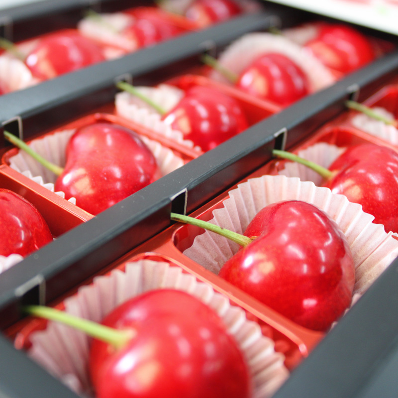 ☆フルーツ王国山形☆さくらんぼ☆やまがた紅王 3Lサイズ以上 15粒スリーブ 【令和8年産先行予約】FS25-553