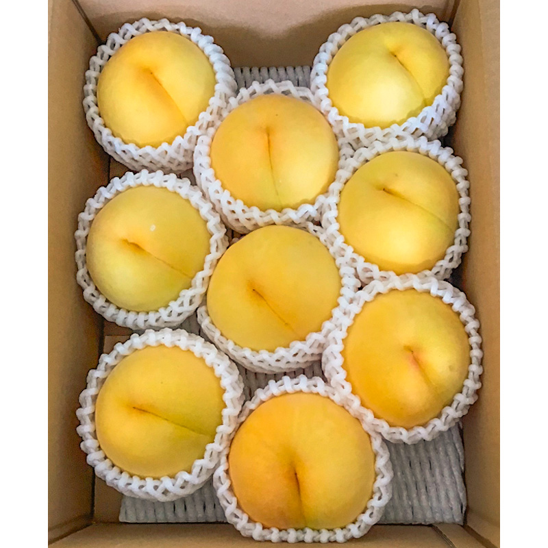 山形市産 黄桃 秀品 2kg(４～８玉) 柔らかくなる桃【令和8年産先行予約】FS24-758