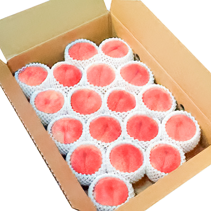 山形市産 白桃 特秀品 約5kg (12～20玉) 柔らかくなる桃【令和8年産先行予約】FS24-757