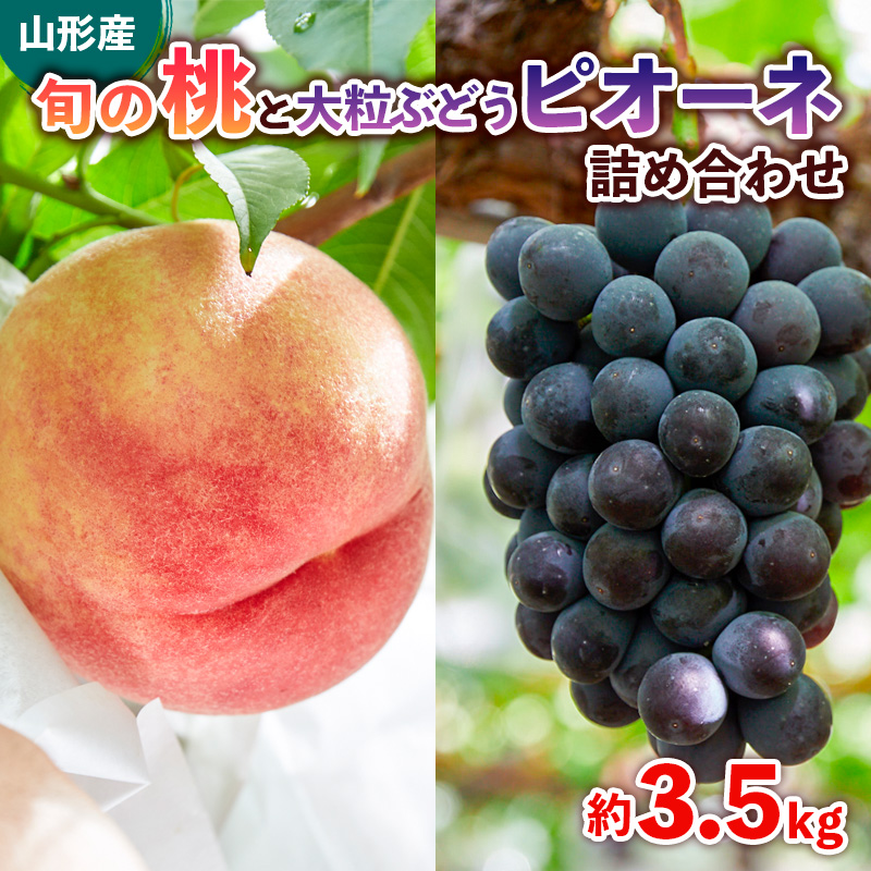 旬の桃と大粒ぶどうピオーネ 詰め合わせ 約3.5kg【令和8年産先行予約】FS24-764