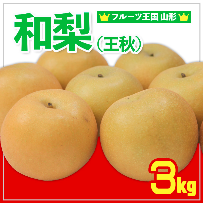 ☆フルーツ王国山形☆和梨 (王秋) 秀品 3kg【令和8年産先行予約】FS24-777