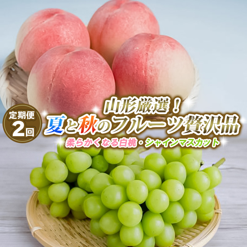 【定期便2回】山形厳選！夏と秋のフルーツ贅沢品(柔らかくなる白桃、シャインマスカット) 【令和8年産先行予約】FS25-643