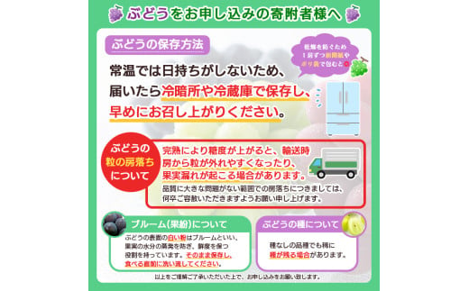 【定期便2回】山形厳選！夏と秋のフルーツ贅沢品(柔らかくなる桃、シャインマスカット) 【令和7年産先行予約】FS24-746