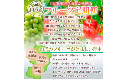 【定期便2回】極上山形フルーツ便～シャインマスカットとサンふじの恵み～ 【令和7年産先行予約】FS24-747