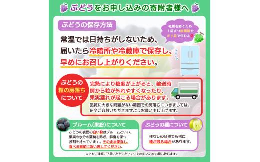 【定期便2回】極上山形フルーツ便～シャインマスカットとサンふじの恵み～ 【令和7年産先行予約】FS24-747