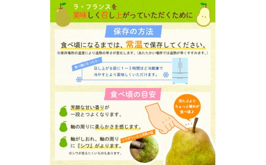 【定期便2回】山形果物 たっぷりシャインマスカットとどっさりラフランスの定期便 【令和7年産先行予約】FS24-767