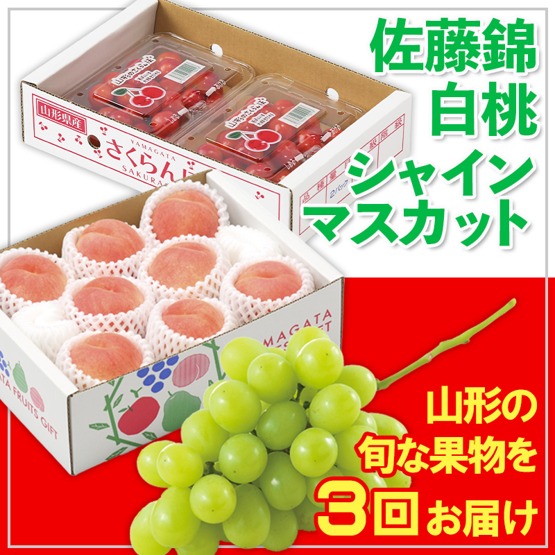 【定期便3回】☆フルーツ王国山形☆佐藤錦・白桃・シャインマスカット 【令和8年産先行予約】FS25-673